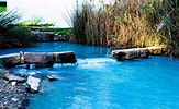Risultato immagine per Bagni di Tivoli piscine. Dimensioni: 163 x 100. Fonte: www.estateromana.com