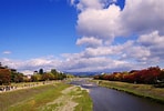 京都 紅葉 鴨川 に対する画像結果.サイズ: 148 x 100。ソース: okabeya.sakura.ne.jp