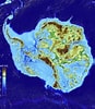 Image result for Arctapodema Antarctica Geslacht. Size: 87 x 100. Source: scitechdaily.com