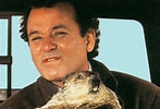 Image result for Bill Murray and Groundhog. Size: 147 x 100. Source: nypost.com