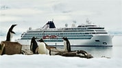Image result for Viking Polaris Antarctica. Size: 178 x 100. Source: www.travelagewest.com