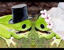 Frog married Pallipudupet 的圖片結果. 大小：126 x 100。資料來源：www.youtube.com