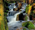 Afbeeldingsresultaten voor Waterfall Screensavers Download. Grootte: 117 x 100. Bron: wallpapersafari.com