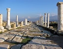 Image result for "laodicea Pulchra". Size: 128 x 100. Source: historythings.com