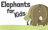 Elephant Class માટે ઇમેજ પરિણામ. માપ: 160 x 100. સ્ત્રોત: www.youtube.com