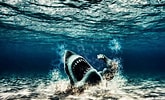Biletresultat for Shark Moving Screensavers. Storleik: 165 x 100. Kjelde: wallpapersafari.com
