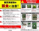 Image result for 写真 植物 毒. Size: 127 x 100. Source: asakusa.sub.jp