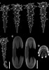 Afbeeldingsresultaten voor Poecilosclerida Anatomie. Grootte: 70 x 100. Bron: zookeys.pensoft.net