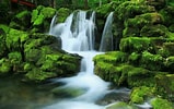 Image result for Waterfalls Windows Background Free Download. Size: 159 x 100. Source: www.pixelstalk.net