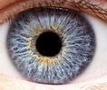 Résultat d’image pour Pupille des yeux. Taille: 118 x 100. Source: 3dprintingindustry.com