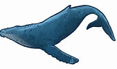 Image result for Whale Toons. Size: 169 x 100. Source: clipart-library.com