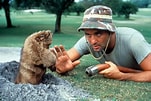 Image result for Bill Murray caddyshack. Size: 151 x 101. Source: www.twincities.com