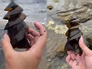 Image result for Shark Eggs. Size: 135 x 101. Source: timesofindia.indiatimes.com