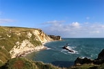 Image result for Man of War Bay Animal. Size: 152 x 101. Source: www.swanage.co.uk