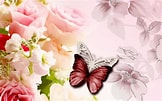 Résultat d’image pour Bisous papillons. Taille: 162 x 101. Source: wallpapercave.com