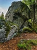 Image result for Bavarian Forest Type of Rock. Size: 74 x 101. Source: www.pexels.com