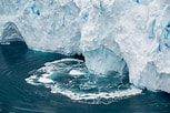 Image result for "saccospyris Antarctica". Size: 153 x 102. Source: edition.cnn.com