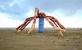 Image result for grootste krab ter wereld. Size: 169 x 102. Source: themeparkfreaks.eu