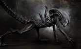 Image result for Alien Xenomorph Original. Size: 166 x 102. Source: proofofalien.com