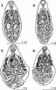 Image result for "pneumodermopsis Minuta". Size: 64 x 102. Source: www.researchgate.net