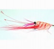 Afbeeldingsresultaten voor Crangon shrimp. Grootte: 113 x 102. Bron: www.grejxperten.dk