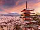 Image result for What Is Japan Landscape Like. Size: 134 x 102. Source: chrisweston.photography