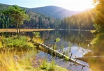 Bildergebnis für Bavarian Forest. Größe: 149 x 102. Quelle: peakvisor.com