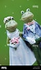 Frog married Pallipudupet 的圖片結果. 大小：60 x 102。資料來源：www.alamy.com