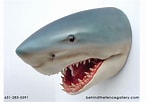 Image result for Shark round Head. Size: 147 x 102. Source: lifesizestatue.com