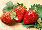 Image result for Strawberry Plants. Size: 143 x 102. Source: www.walmart.com