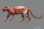 Bildergebnis für Snow Leopard Anatomy. Größe: 154 x 102. Quelle: www.artstation.com