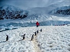 Afbeeldingsresultaten voor "batheuchaeta Antarctica". Grootte: 137 x 103. Bron: www.worldatlas.com