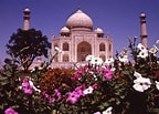 Risultato immagine per Taj Mahal Gardens. Dimensioni: 144 x 103. Fonte: fineartamerica.com