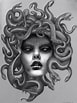 Afbeeldingsresultaten voor "polycirrus Medusa". Grootte: 77 x 103. Bron: nhatila.weebly.com