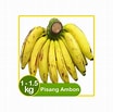 Image result for Pisang Ambon. Size: 104 x 103. Source: www.klikindomaret.com