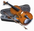 "amphibelone Violina" కోసం చిత్ర ఫలితం. పరిమాణం: 114 x 104. మూలం: guitaroutlet.mercadoshops.com.co