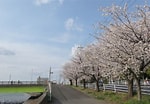 鶴見川 桜 に対する画像結果.サイズ: 150 x 104。ソース: blog.goo.ne.jp