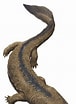 Image result for "acanthostaurus Hansen". Size: 76 x 104. Source: paleodico.wifeo.com