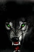 Angry Wolf に対する画像結果.サイズ: 69 x 104。ソース: wallpaperaccess.com