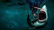 Image result for Moving Wallpapers, Sharks. Size: 185 x 104. Source: wallpapersafari.com