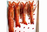 Image result for "puerulus Sewelli". Size: 153 x 104. Source: seafood-india.com