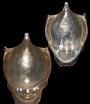 Afbeeldingsresultaten voor "cavolinia Tridentata". Grootte: 90 x 104. Bron: www.seahorseandco.com