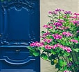 Image result for Blue door flowers. Size: 114 x 104. Source: www.istockphoto.com