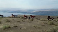 Image result for Wild Horse Vantage. Size: 185 x 104. Source: www.youtube.com
