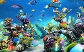 Image result for vista Screensaver Fish Tank. Size: 167 x 104. Source: www.youtube.com