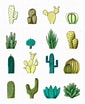 Image result for Cactus Tekenen. Size: 85 x 104. Source: www.pinterest.com