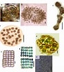 Image result for "Protocystis Swirei". Size: 93 x 104. Source: www.researchgate.net