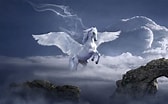Image result for White Horses With winged Mean. Size: 168 x 104. Source: www.whats-your-sign.com