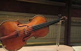 "amphibelone Violina" కోసం చిత్ర ఫలితం. పరిమాణం: 164 x 104. మూలం: commons.wikimedia.org