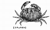 Afbeeldingsresultaten voor "cancer Japonicus". Grootte: 170 x 104. Bron: kotobank.jp